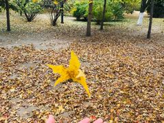 景点-沈阳南湖公园