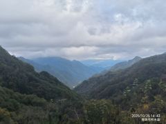 -牛背梁国家森林公园