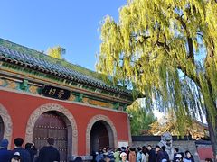 -晋祠公园