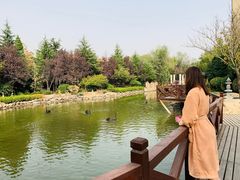 -芭东小镇温泉