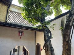 -绍兴鲁迅故里·沈园景区