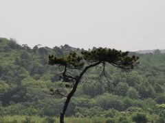 -恋山坝上草原
