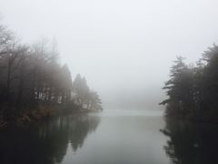 -四明山国家森林公园