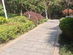 -龙头寺公园