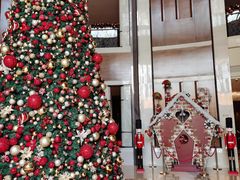 -深圳星河丽思卡尔顿酒店