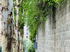 -重庆市江北嘴中央商务区中央公园