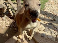 -泉州海丝野生动物世界