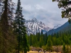 -白马王朗自然风景区