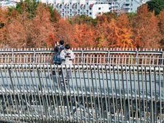 -梅峰山地公园