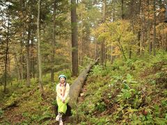 -五营红松林海景区