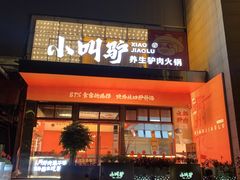 -小叫驴养生驴肉火锅(龙游店)