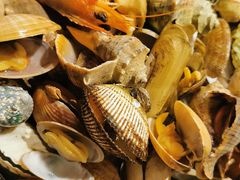 -赶海部落海鲜城(海阳路店)