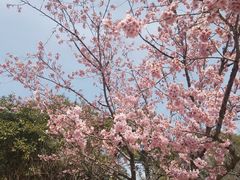 -苏州上方山国家森林公园