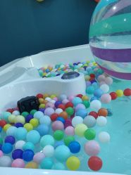 -蓝鲸快乐宝贝婴童游泳馆(南飞鸿十年城店)