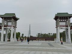 -王借岗森林公园
