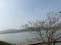 -水上明月·湖景餐厅