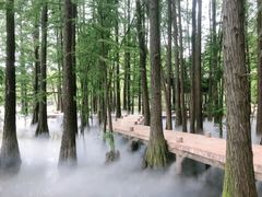 -东湖落雁景区