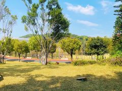 -牛岗山公园