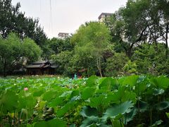 -莲湖公园