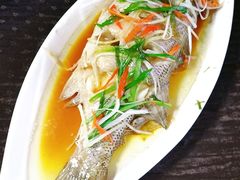 -大班家政月嫂育儿嫂(总部店)