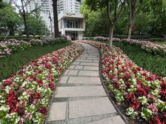 -北外滩滨江绿地