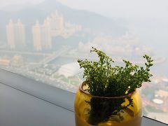 -大连君悦酒店·星海湾壹号Dalian·Dalian(星海广场店)