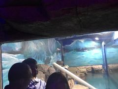 -石林冰雪海洋世界