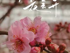 -鹫峰国家森林公园