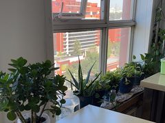 -微笑时刻照相馆·企业合影·商务外拍(北京五道口店)