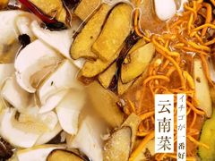 -野菌皇海景野生菌火锅(滨海大道店)