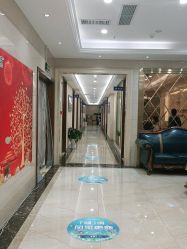 -碧莲盛·不剃发植发