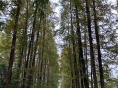 场地-上海植物园·停车场