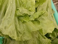 -大嫂镬仔·焖鸡煲·啫啫煲(逢源路店)