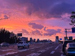 -长白岛森林公园