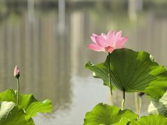 -木塔寺遗址生态公园