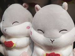 -天虹购物中心(石路店)