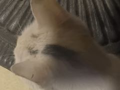 -吾家香港烧腊专门店