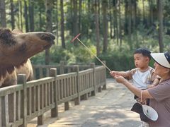 -贵州森林野生动物园