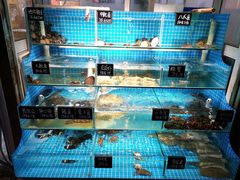 水产区-北戴河庆山饭店·海鲜砂锅粥(北戴河黑石路店)