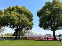 -大宁郁金香公园-停车场