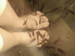 -三亚珠江南田温泉度假区