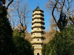 -灵谷景区