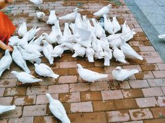 -王府井奥莱临潼小镇(临潼店)