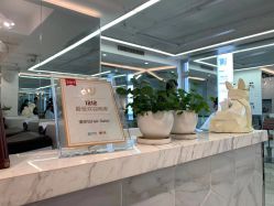 -潘多拉Hairsalon