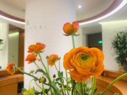 -LB·海菲秀牛奶光官方体验中心