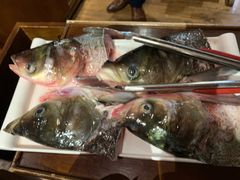 -三只耳火锅(宽窄巷子店)