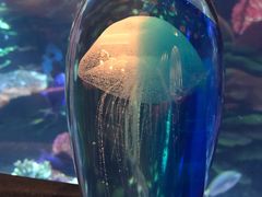 -迪拜帆船酒店海底餐厅