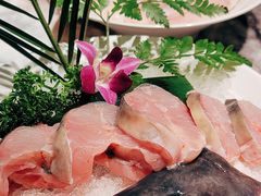 招牌肥鱼-鱼豆吉·豆浆鱼火锅(宜昌万达店)