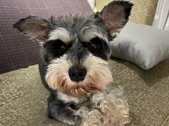 -零几体验diy皮具工作室(振业城店)