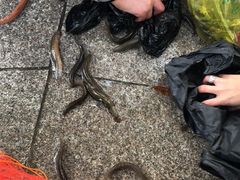 -苏州河梦清园环保主题公园